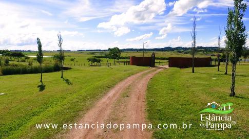 TREM TOP SORGO.00_01_06_04.Quadro026_a70a07213ef0a25d8b9c0eb6e496729b8ef591da.png